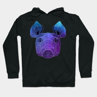 Galaxy Pig Hoodie